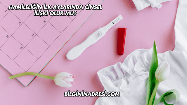 Hamileliğin İlk Aylarında Cinsel İlişki Olur mu?