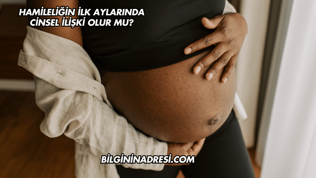 Hamileliğin İlk Aylarında Cinsel İlişki Olur mu?