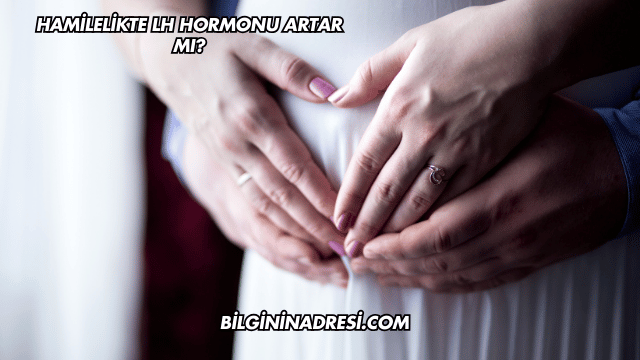 Hamilelikte LH Hormonu Artar mı?