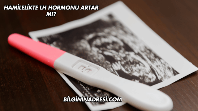 Hamilelikte LH Hormonu Artar mı?