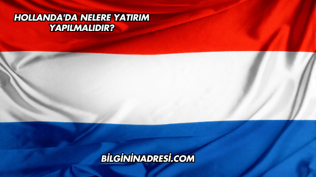 Hollanda'da Nelere Yatırım Yapılmalıdır?