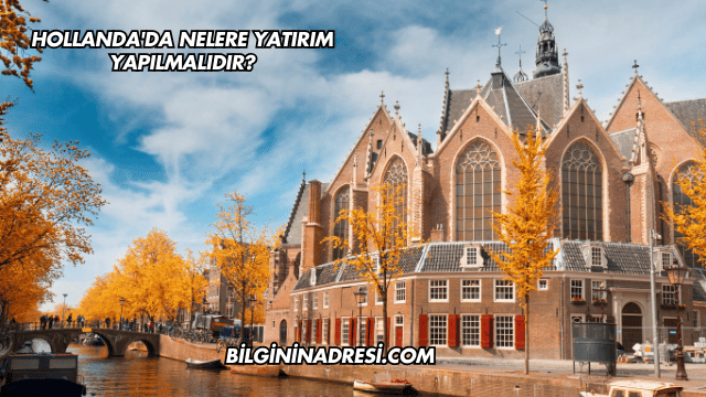 Hollanda'da Nelere Yatırım Yapılmalıdır?