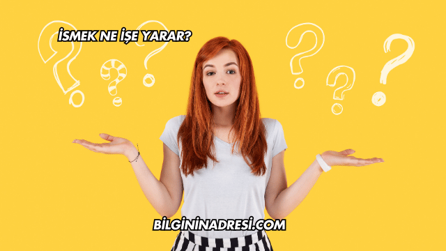 İSMEK Ne İşe Yarar?