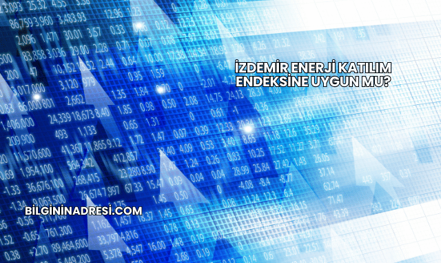 İZDEMİR Enerji Katılım Endeksine Uygun mu?
