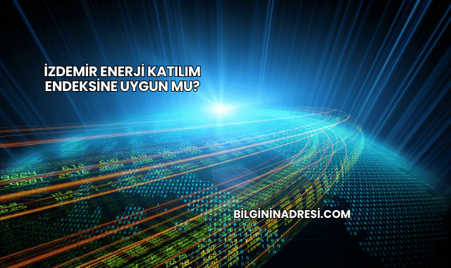 İZDEMİR Enerji Katılım Endeksine Uygun mu?