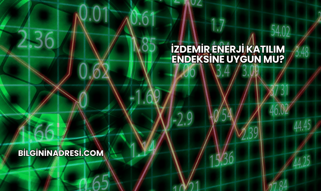 İZDEMİR Enerji Katılım Endeksine Uygun mu?