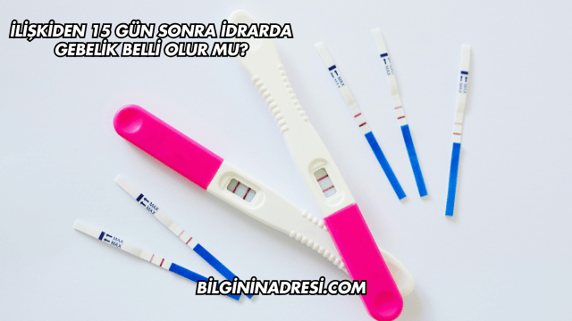 İlişkiden 15 Gün Sonra İdrarda Gebelik Belli Olur mu?