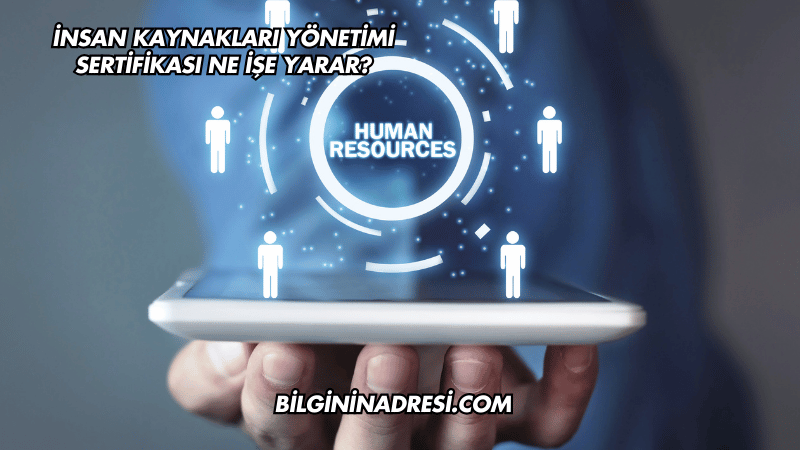 İnsan Kaynakları Yönetimi Sertifikası Ne İşe Yarar?