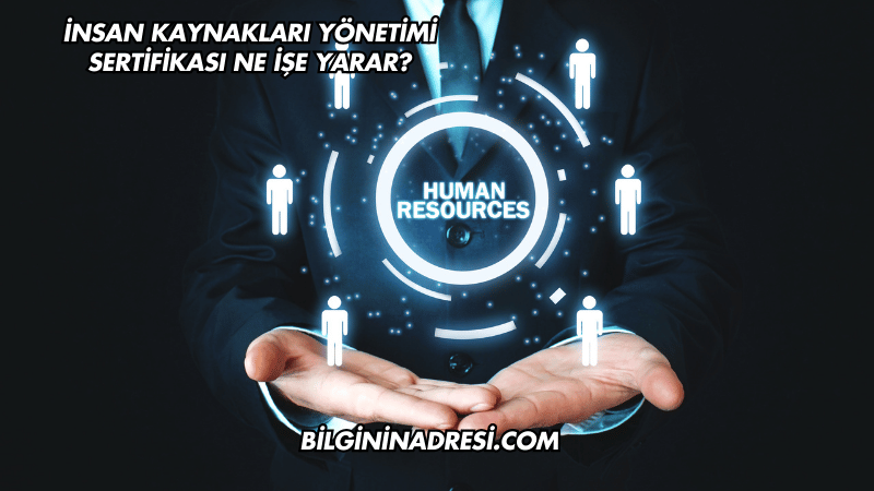İnsan Kaynakları Yönetimi Sertifikası Ne İşe Yarar?