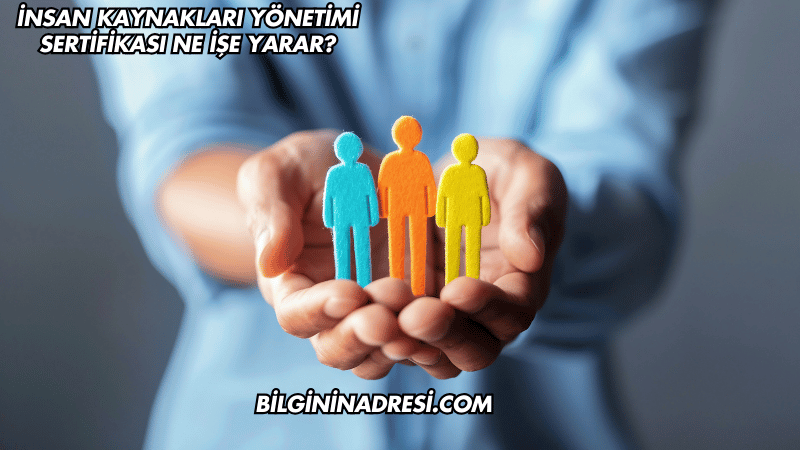 İnsan Kaynakları Yönetimi Sertifikası Ne İşe Yarar?