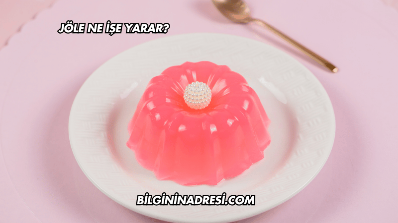 Jöle Ne İşe Yarar?
