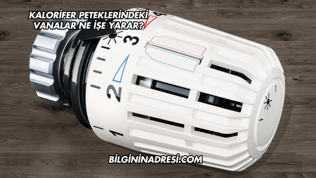Kalorifer Peteklerindeki Vanalar Ne İşe Yarar?