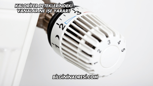 Kalorifer Peteklerindeki Vanalar Ne İşe Yarar?