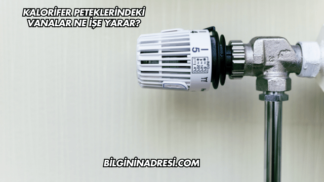 Kalorifer Peteklerindeki Vanalar Ne İşe Yarar?