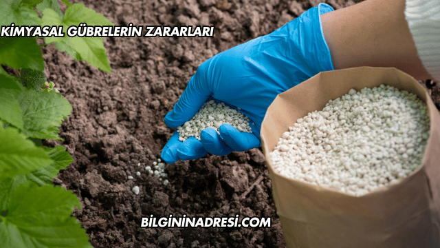 Kimyasal Gübrelerin Zararları