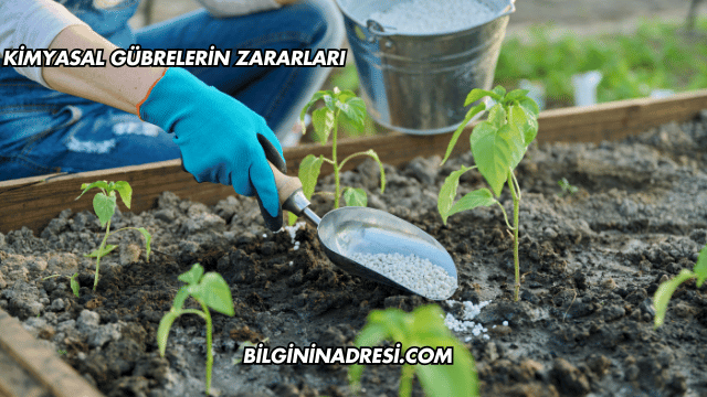 Kimyasal Gübrelerin Zararları