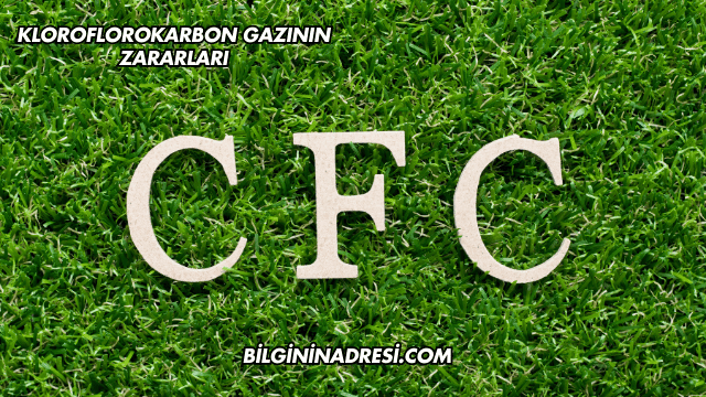 Kloroflorokarbon Gazının Zararları