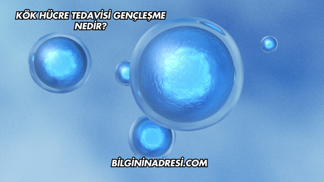 Kök Hücre Tedavisi Gençleşme Nedir?