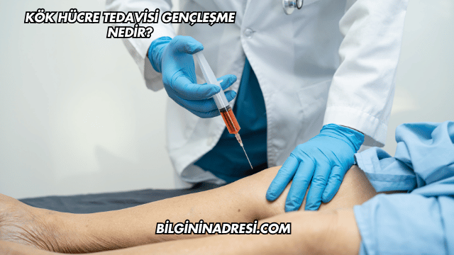Kök Hücre Tedavisi Gençleşme Nedir?