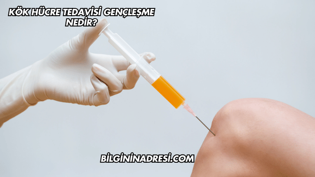 Kök Hücre Tedavisi Gençleşme Nedir?