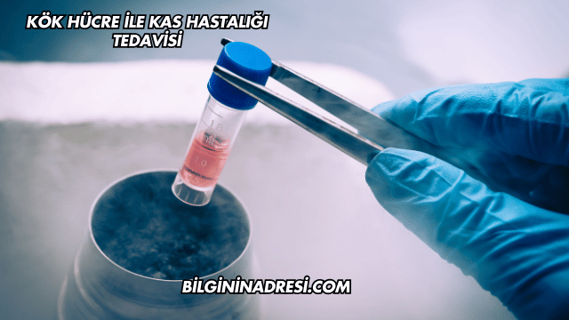 Kök Hücre ile Kas Hastalığı Tedavisi