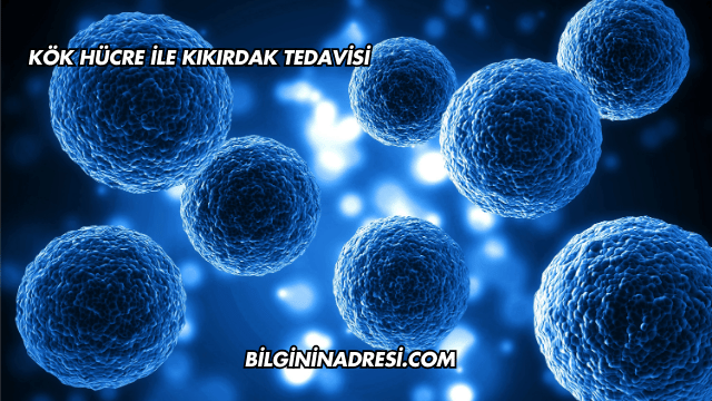 Kök Hücre ile Kıkırdak Tedavisi