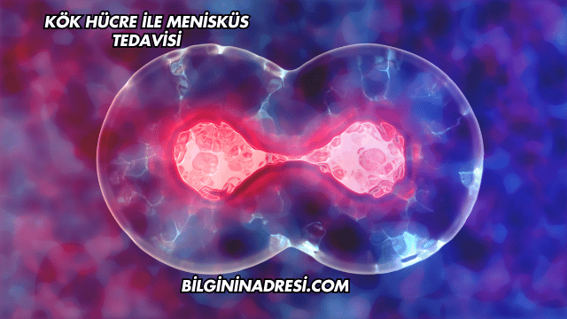 Kök Hücre ile Menisküs Tedavisi