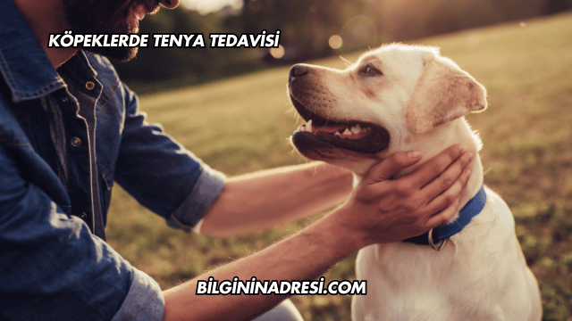 Köpeklerde Tenya Tedavisi