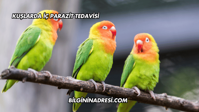 Kuşlarda İç Parazit Tedavisi
