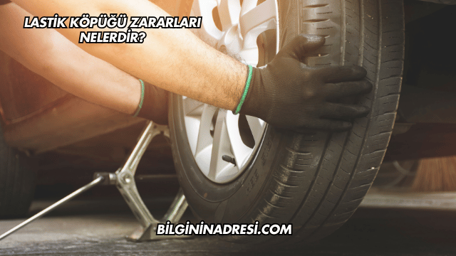 Lastik Köpüğü Zararları Nelerdir?