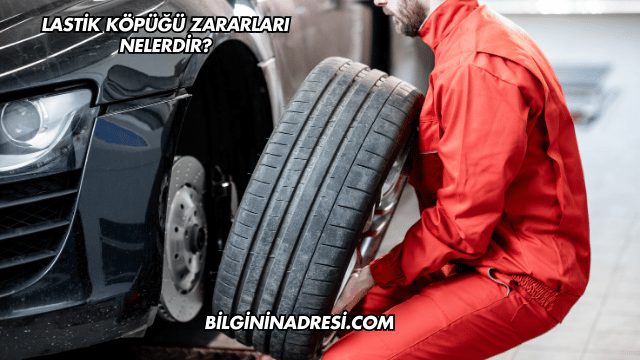 Lastik Köpüğü Zararları Nelerdir?