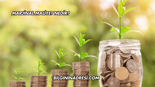 Marjinal Maliyet Nedir?