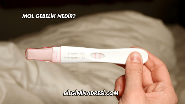 Mol Gebelik Nedir?