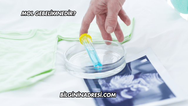 Mol Gebelik Nedir?