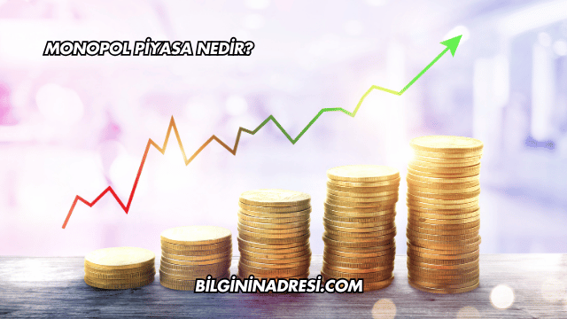 Monopol Piyasa Nedir?