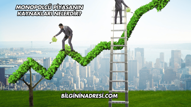 Monopolcü Piyasanın Kaynakları Nelerdir?