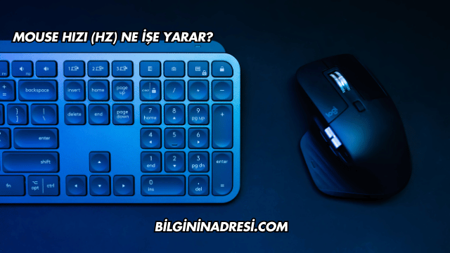 Mouse Hızı (Hz) Ne İşe Yarar?