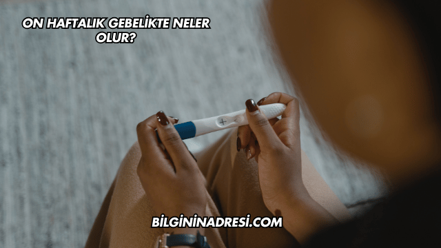 On Haftalık Gebelikte Neler Olur?