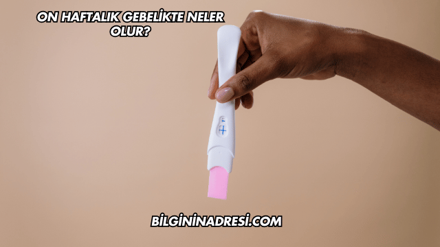 On Haftalık Gebelikte Neler Olur?
