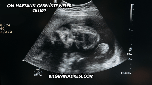 On Haftalık Gebelikte Neler Olur?