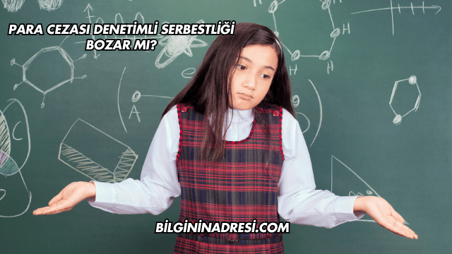Para Cezası Denetimli Serbestliği Bozar mı?