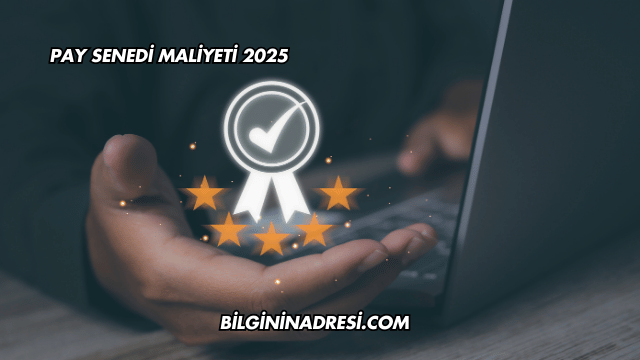 Pay Senedi Maliyeti 2025