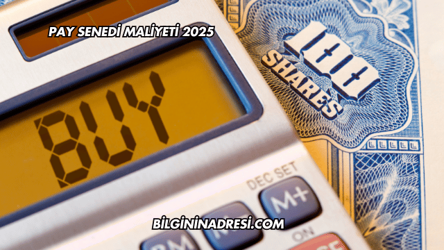Pay Senedi Maliyeti 2025