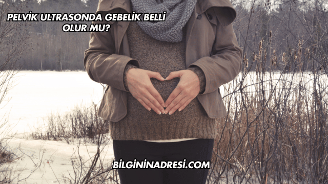Pelvik Ultrasonda Gebelik Belli Olur mu?
