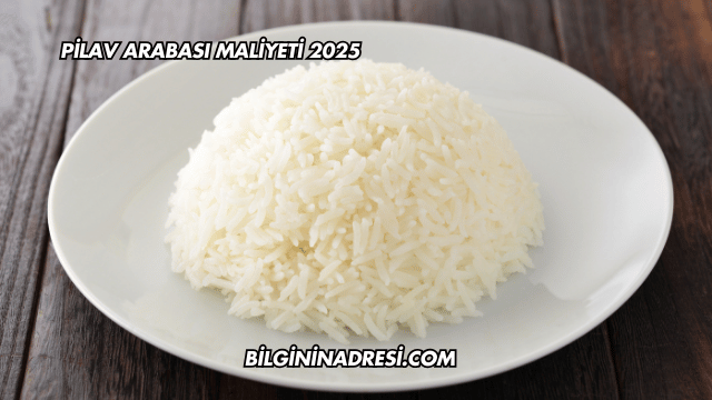 Pilav Arabası Maliyeti 2025