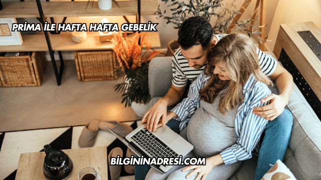 Prima ile Hafta Hafta Gebelik