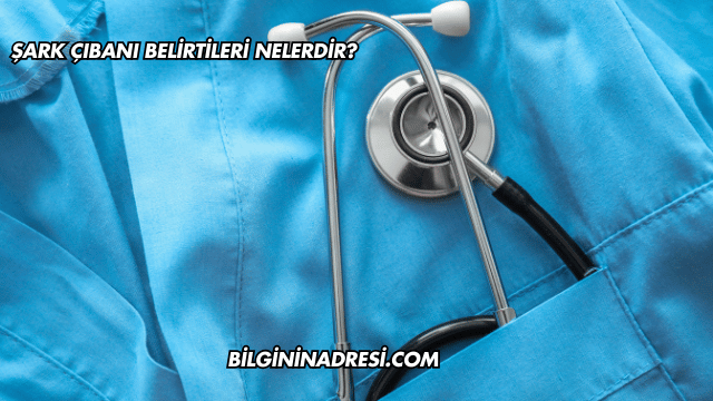 Şark Çıbanı Belirtileri Nelerdir?