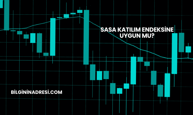Sasa Katılım Endeksine Uygun mu?