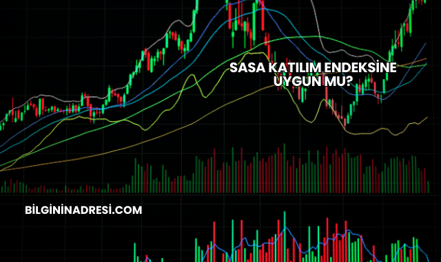 Sasa Katılım Endeksine Uygun mu?