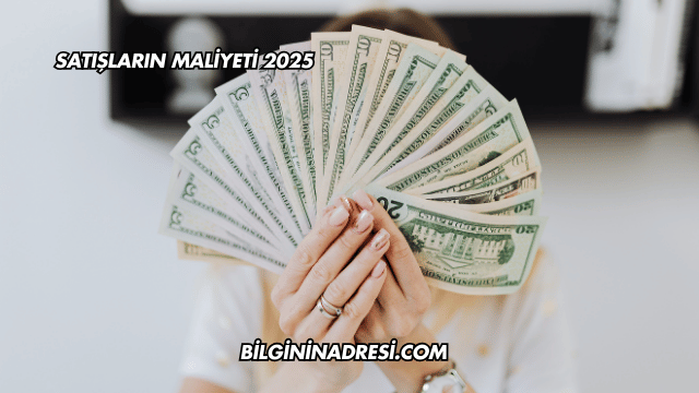 Satışların Maliyeti 2025